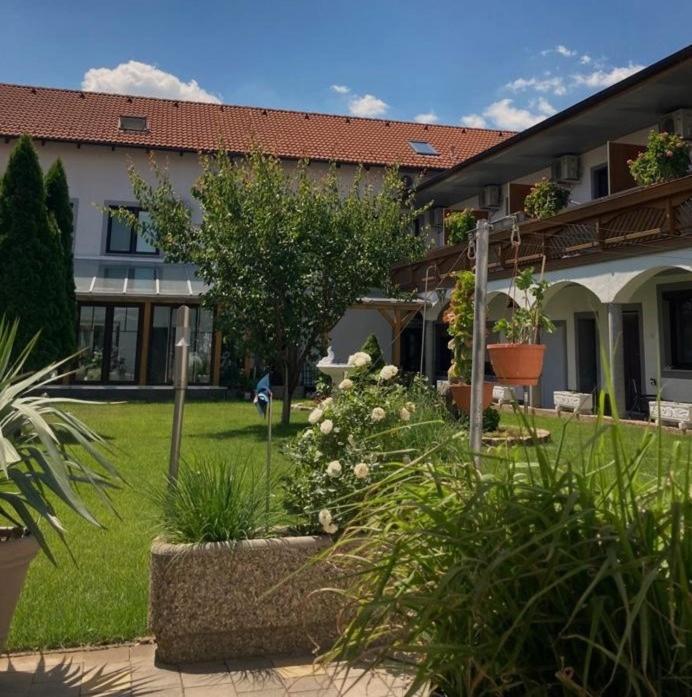 פודרסדורף אם סי Gaestehaus Und Weinbau Zur Wiederkehr Strudler מראה חיצוני תמונה