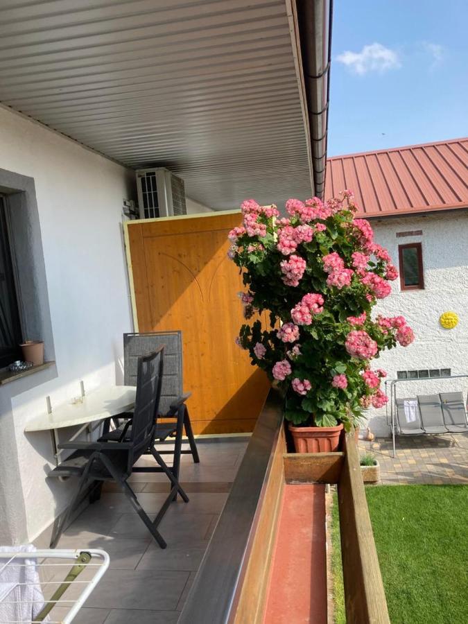 פודרסדורף אם סי Gaestehaus Und Weinbau Zur Wiederkehr Strudler מראה חיצוני תמונה