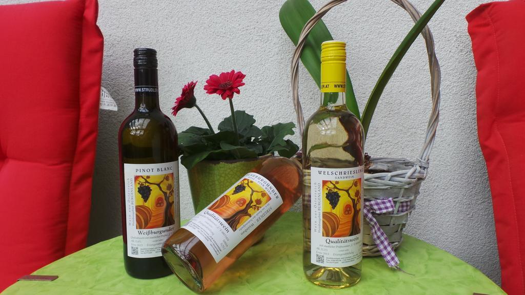 פודרסדורף אם סי Gaestehaus Und Weinbau Zur Wiederkehr Strudler מראה חיצוני תמונה